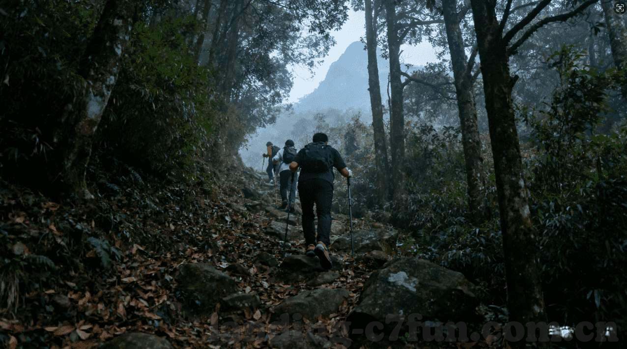 沙巴网-沙巴网，探索东南亚海岛风情的新窗口